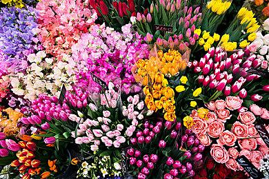 《雨中冒险2》开发者更新#22 新虚空物品介绍